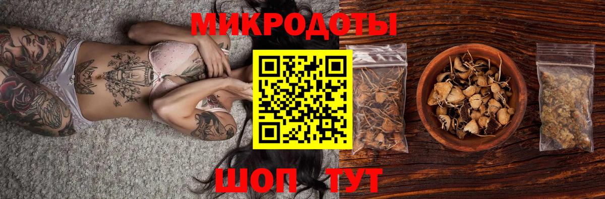 Галлюциногенные грибы Psilocybe Смоленск